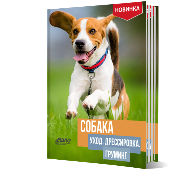 Собака: уход, дрессировка, груминг